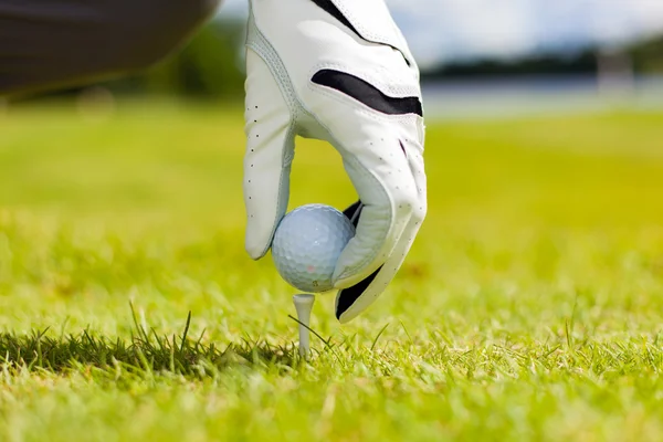 Mão segurar bola de golfe com tee no curso — Fotografia de Stock