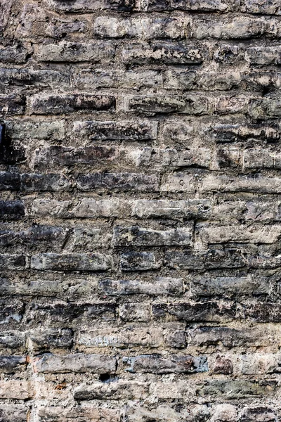 Brick wall texture — Stock Photo, Image