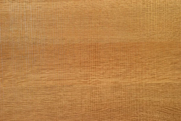 Природа текстури деревини — стокове фото