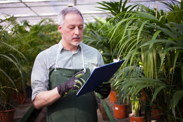 Man reading a document — Stock Photo, Image