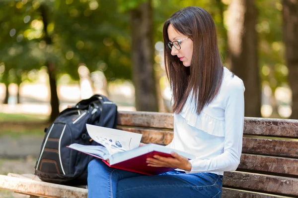 Studentessa che studia in panchina — Foto Stock