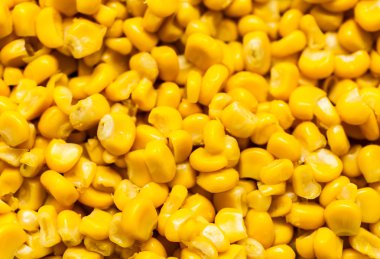 Toplu Mısır tanelerinin arka plan