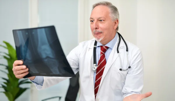 Доктор смотрит на рентгенографию — стоковое фото