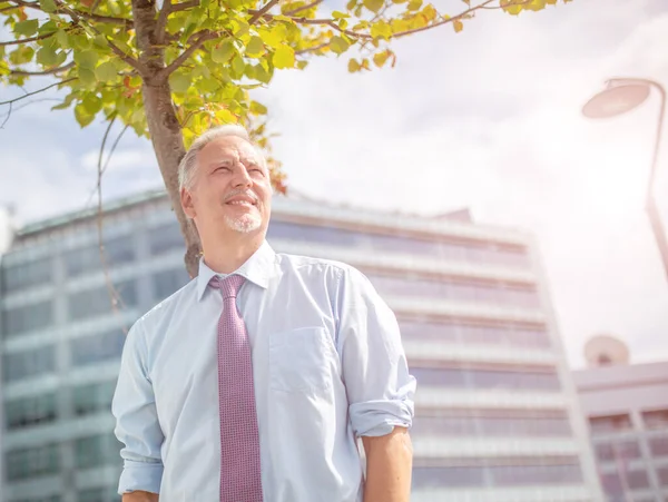 Ecologische Zakenman Staat Buurt Van Een Boom Een Moderne Zakelijke — Stockfoto