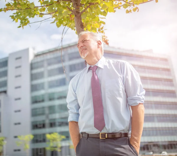 Ecologische Zakenman Staat Buurt Van Een Boom Een Moderne Zakelijke — Stockfoto