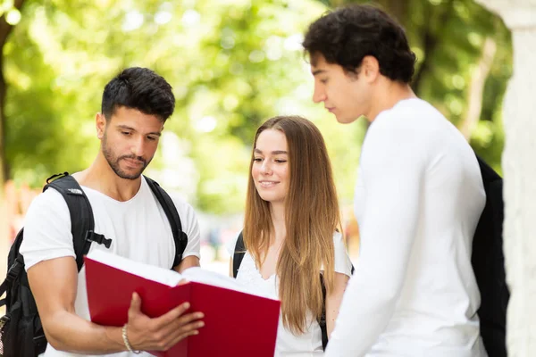 Tři Studenti Spolu Mluví Venku Nádvoří Vysoké Školy — Stock fotografie