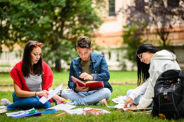 Studenten Zitten Het Gras Studeren Samen Het Park — Stockfoto