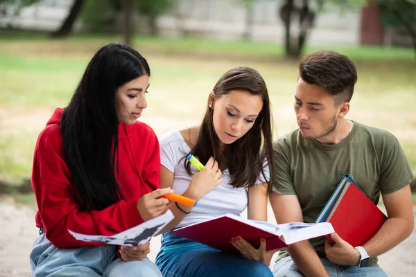 Grupa Studentów Uczących Się Świeżym Powietrzu Parku Pobliżu Szkoły Koledżu — Zdjęcie stockowe