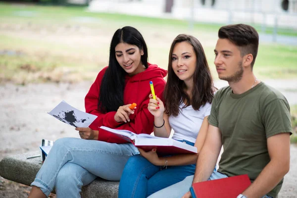 Grupo Estudiantes Que Estudian Aire Libre Parque Cerca Escuela Colegio —  Fotos de Stock