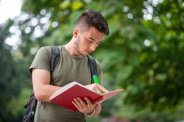 Studenten Leesboek Een Park — Stockfoto