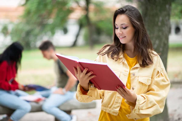 Mulher Estudante Lendo Livro Frente Grupo Amigos Parque — Fotografia de Stock