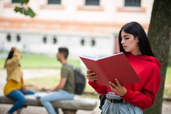 Universitätsstudent Liest Draußen Ein Buch — Stockfoto