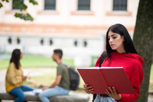 Universitätsstudent Liest Draußen Ein Buch — Stockfoto