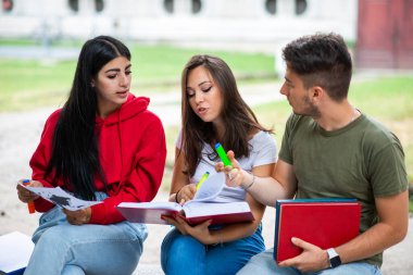 Okul, üniversite ya da üniversitenin yakınındaki parkta okuyan bir grup öğrenci