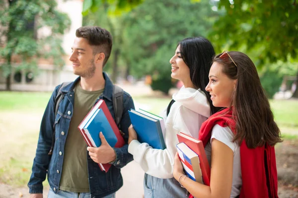 Grupo Jóvenes Estudiantes Caminando Cerca Del Parque Escolar —  Fotos de Stock