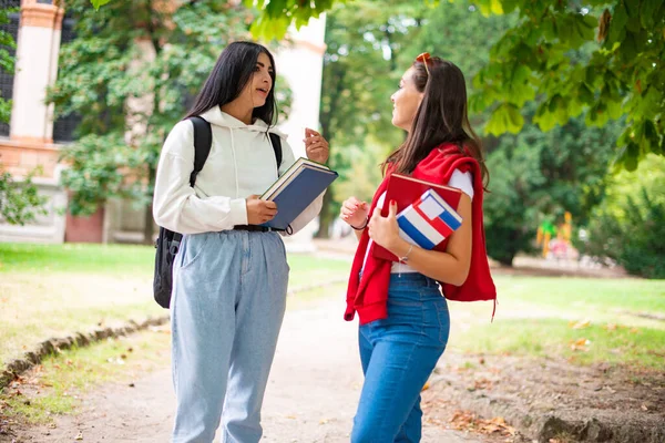 Női Főiskolai Vagy Egyetemi Hallgatók Beszélgetnek Egy Parkban Iskola Közelében — Stock Fotó