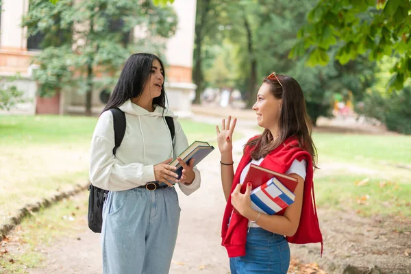 Estudantes Universitárias Universitárias Falar Num Parque Perto Escola Conceito Educação — Fotografia de Stock