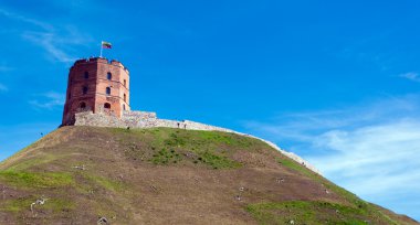 Vilnius Gediminas Kulesi