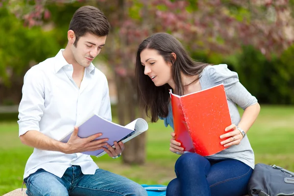 Two students talking in park — Stock Photo, Image