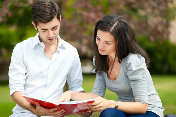 Twee studenten praten in park — Stockfoto