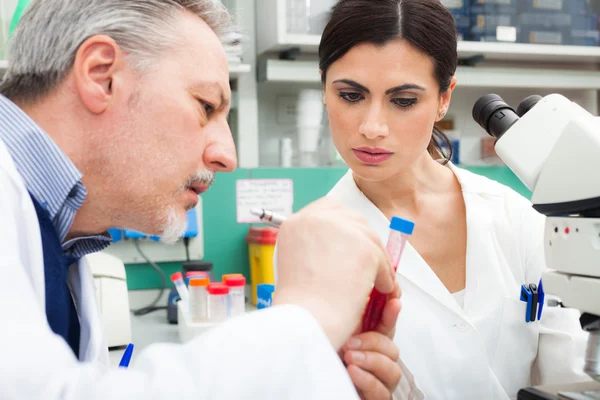 Doctors examining blood sample — Stock Photo, Image