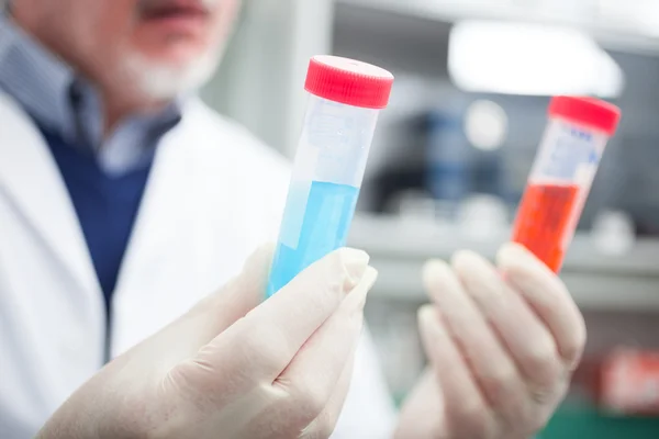 Cientista sénior no trabalho — Fotografia de Stock