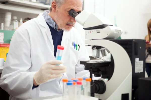 Wetenschapper op het werk in laboratorium — Stockfoto