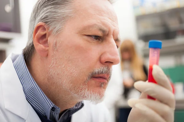 Wissenschaftler arbeitet im Labor — Stockfoto