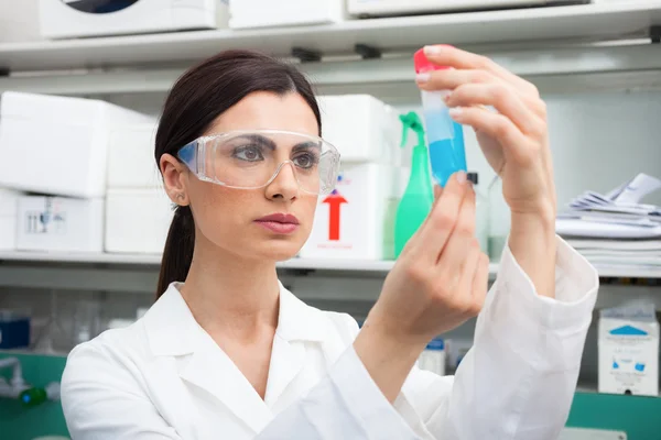 Scientist at work in laboratory Stock Picture