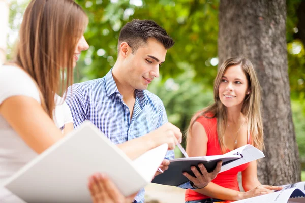 Studenti che studiano nel parco — Foto Stock