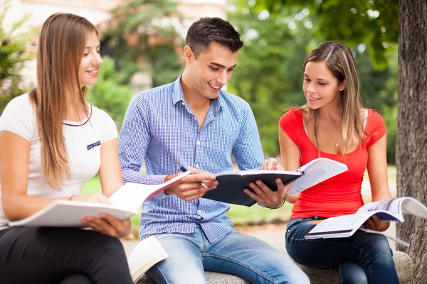 Estudiantes sonrientes estudiando en el parque — Foto de Stock