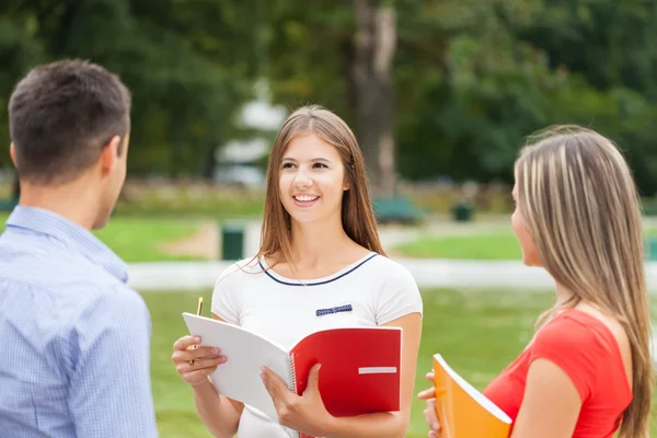 Studenten studeren in park — Stockfoto