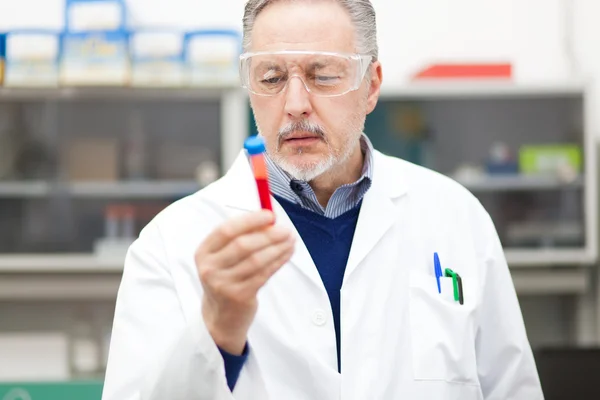 Wetenschapper op het werk in laboratorium — Stockfoto