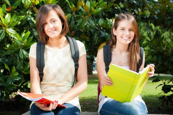 Two students in park Royalty Free Stock Images