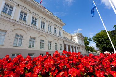 Vilnius Üniversitesi