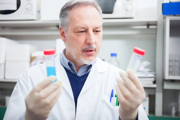 Wissenschaftler bei der Arbeit im Labor — Stockfoto