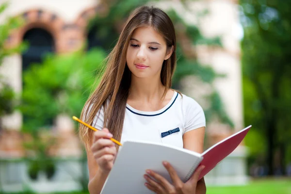 Estudiante femenina estudiando en el parque — Foto de Stock