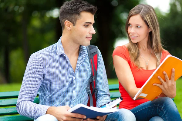 Estudiantes sonrientes estudiando en el parque — Foto de Stock