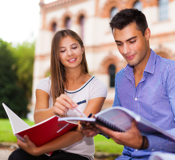 Students studying in a park