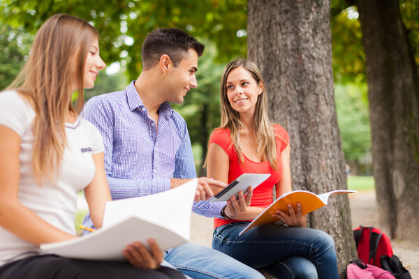 Students studying in a park