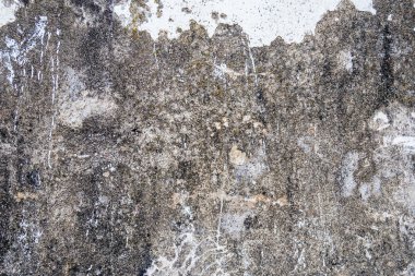 duvar dokusu arka plan