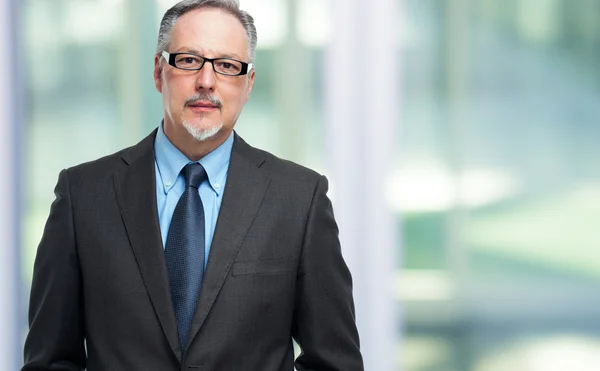 Confident businessman portrait — Stock Photo, Image