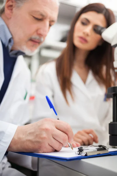Two scientists at work in laboratory — Stock Photo, Image