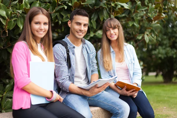 Grupp av studenter — Stockfoto