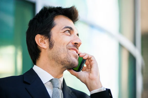 Businessman talking on cell phone Stock Picture