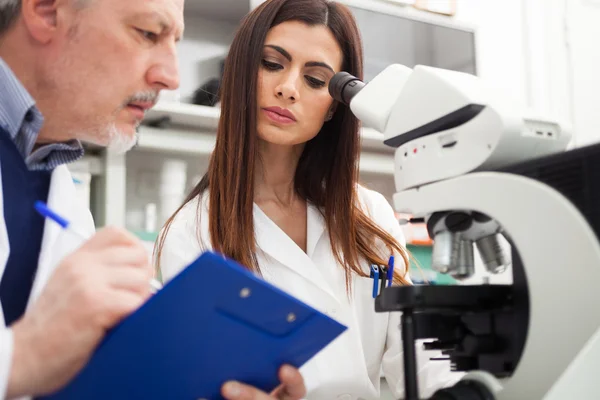 Science researchers in a laboratory — Stock Photo, Image