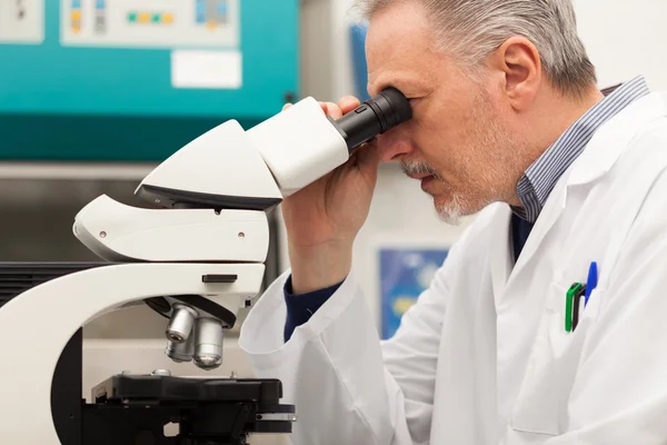 Científico en un laboratorio —  Fotos de Stock