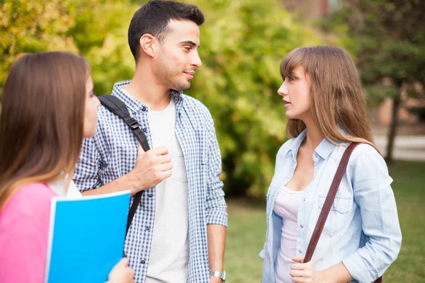 Friends talking in park — Stock Photo, Image