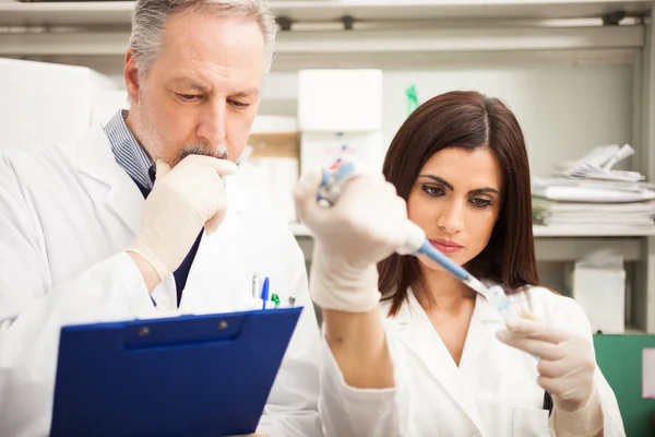 Científicos trabajando en un laboratorio — Foto de Stock