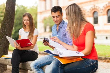 Students studying in a park clipart